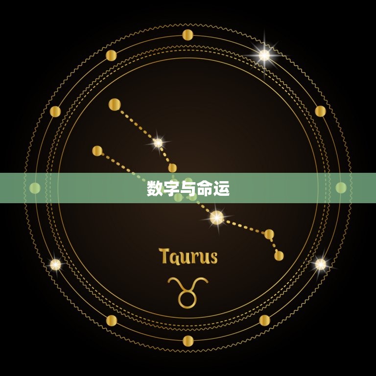 今日的幸运数是哪一个(介绍今日数字)