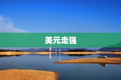 金融行情消息今日(全球股市震荡美元走强)  第2张