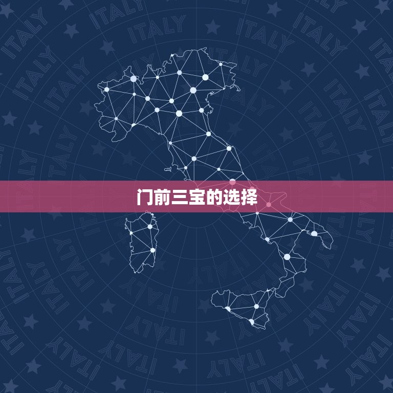 大门口放三样东西最旺(如何布置门前三宝)  第2张