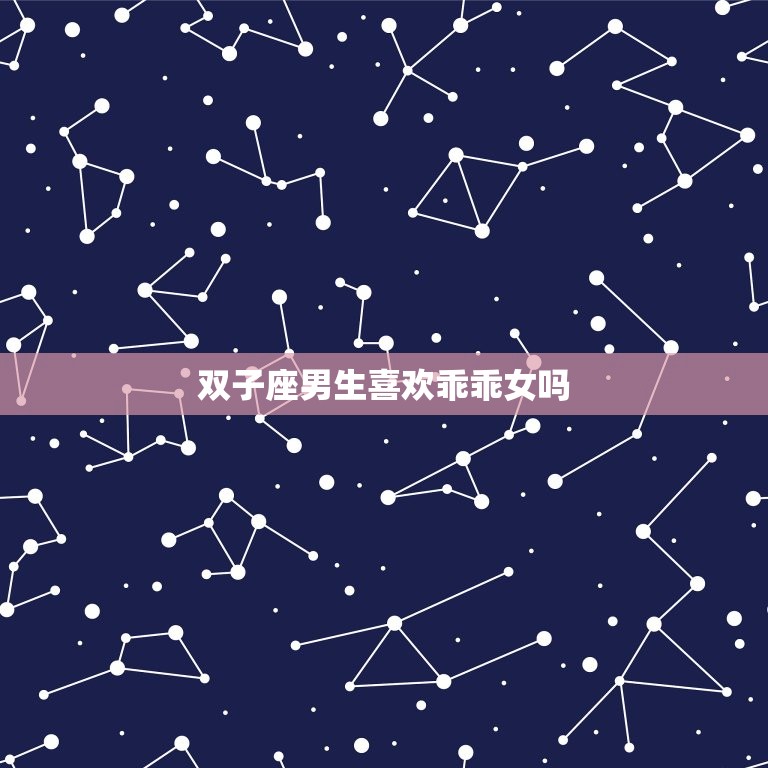 双子座男生喜欢乖乖女吗(介绍星座)  第3张