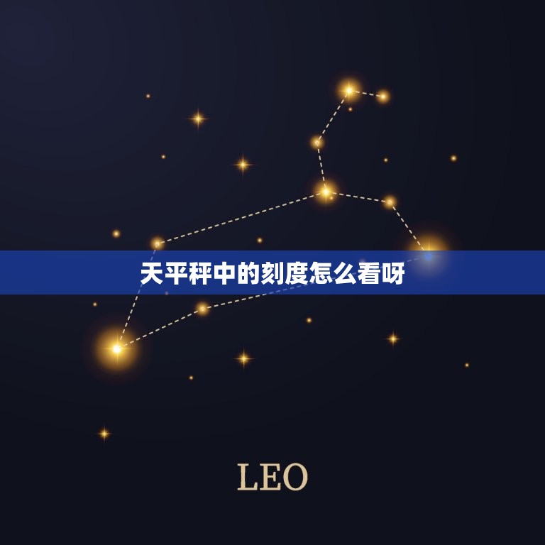 天平秤中的刻度怎么看呀(如何正确读取天平秤上的刻度)  第3张
