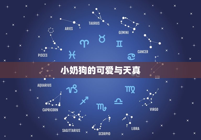 跟小奶狗谈恋爱什么感觉(初恋般的甜蜜与纯真)  第1张