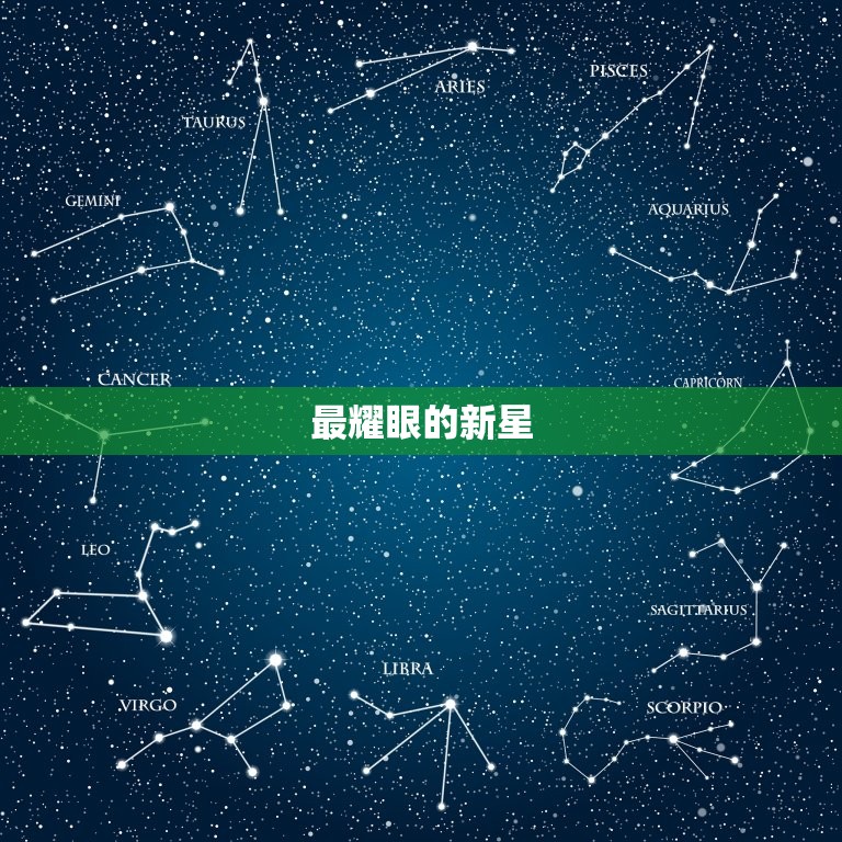 1998年摩羯座男明星(谁是最耀眼的新星)  第2张