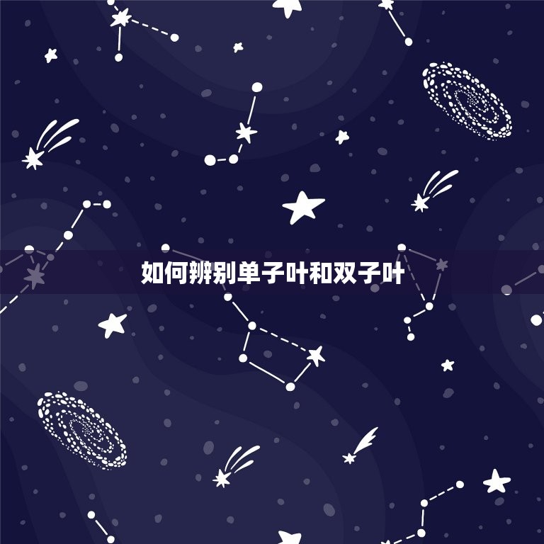 怎么看单子叶还是双子叶(轻松辨别植物叶子类型)  第2张