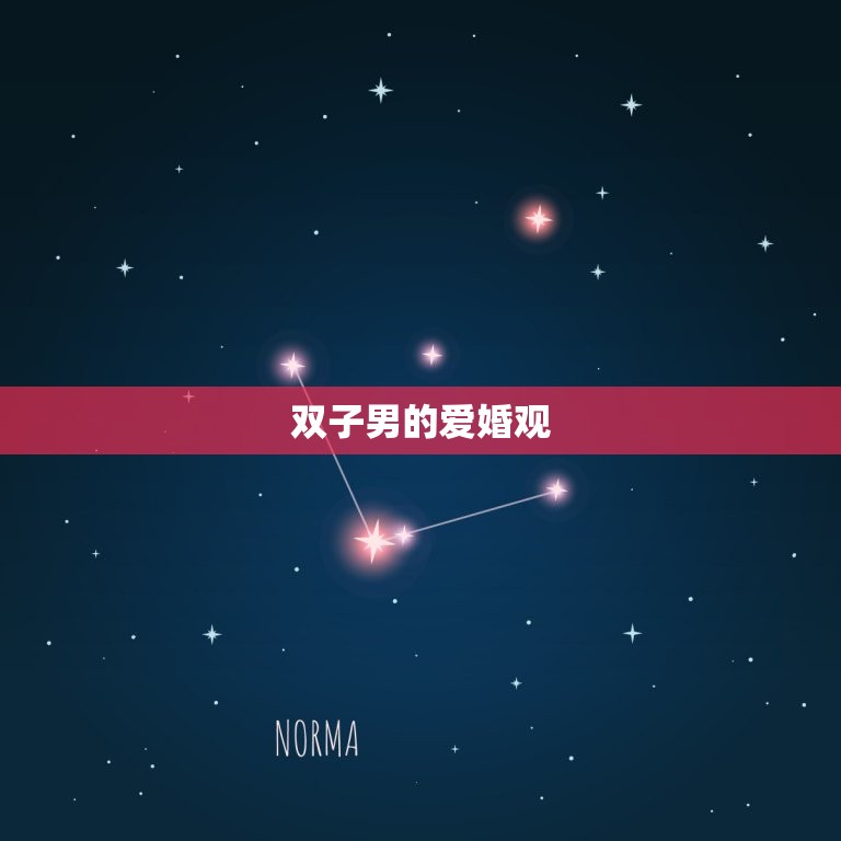 双子男的爱婚观(自由与稳定的平衡)  第3张