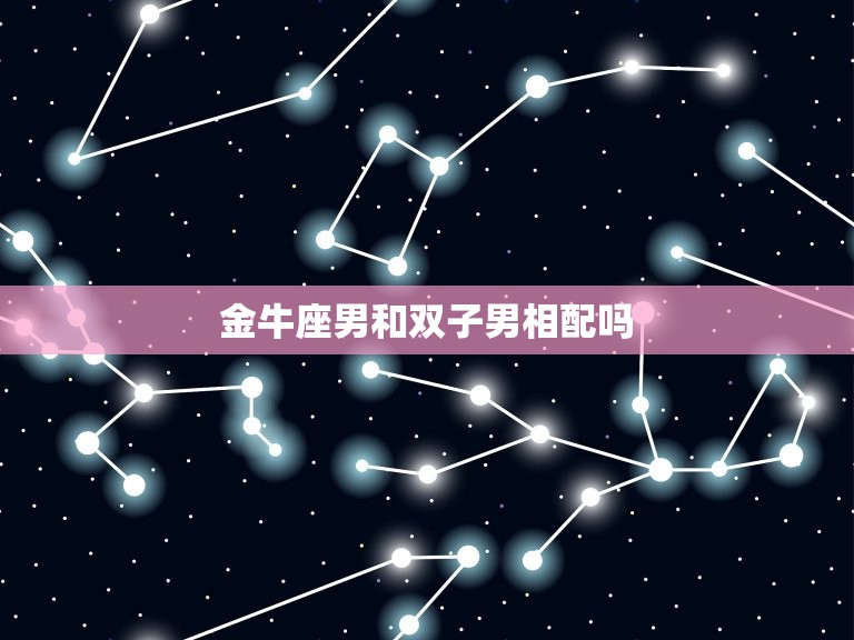 金牛座男和双子男相配吗(星座配对分析)  第3张