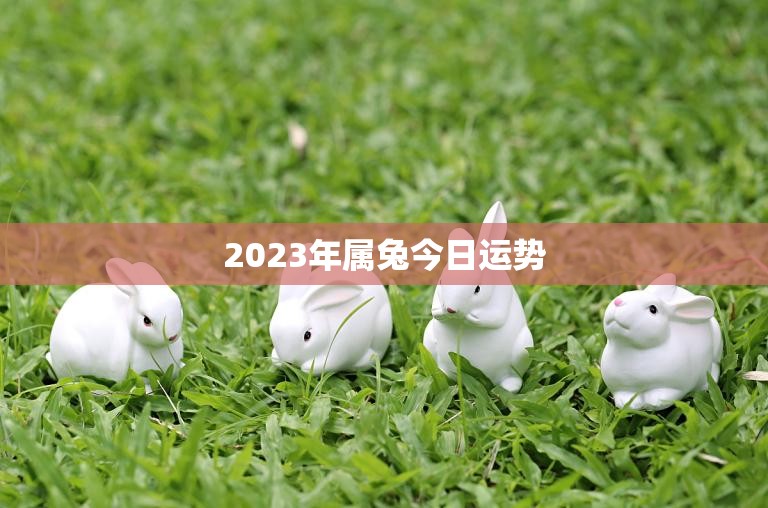 2023年属兔今日运势(好运连连财源滚滚)  第3张