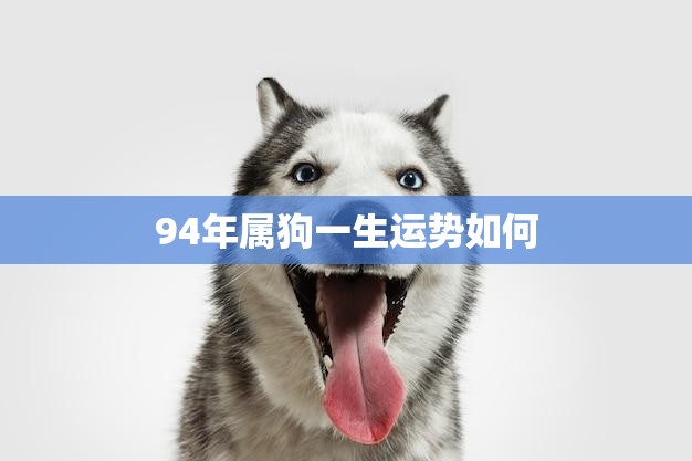 94年属狗一生运势如何(幸运之星照耀财富与爱情双丰收)  第3张