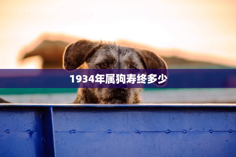 1934年属狗寿终多少(狗年人寿命长短因个体差异而异)  第3张