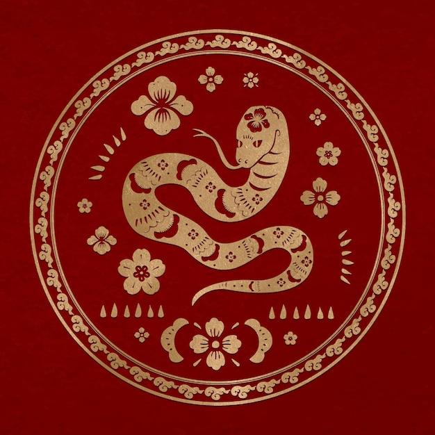 麦玲玲2023属猪吉星(猪年大吉麦玲玲命格大解析)  第2张