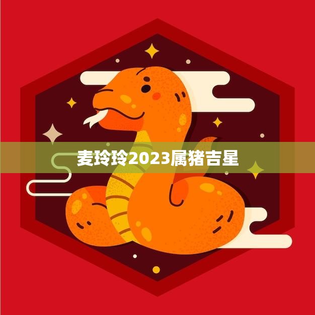 麦玲玲2023属猪吉星(猪年大吉麦玲玲命格大解析)  第3张