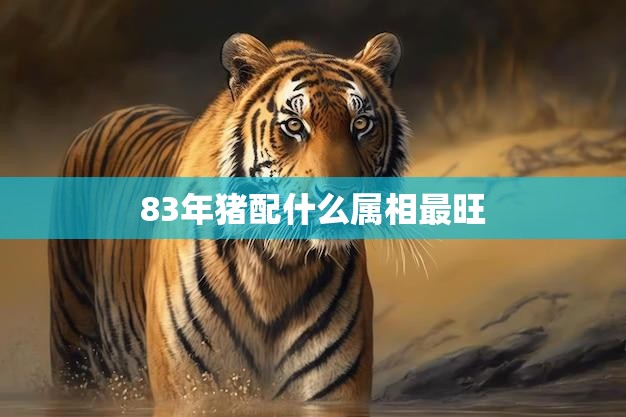 83年猪配什么属相最旺(解密最佳搭档是TA)  第3张