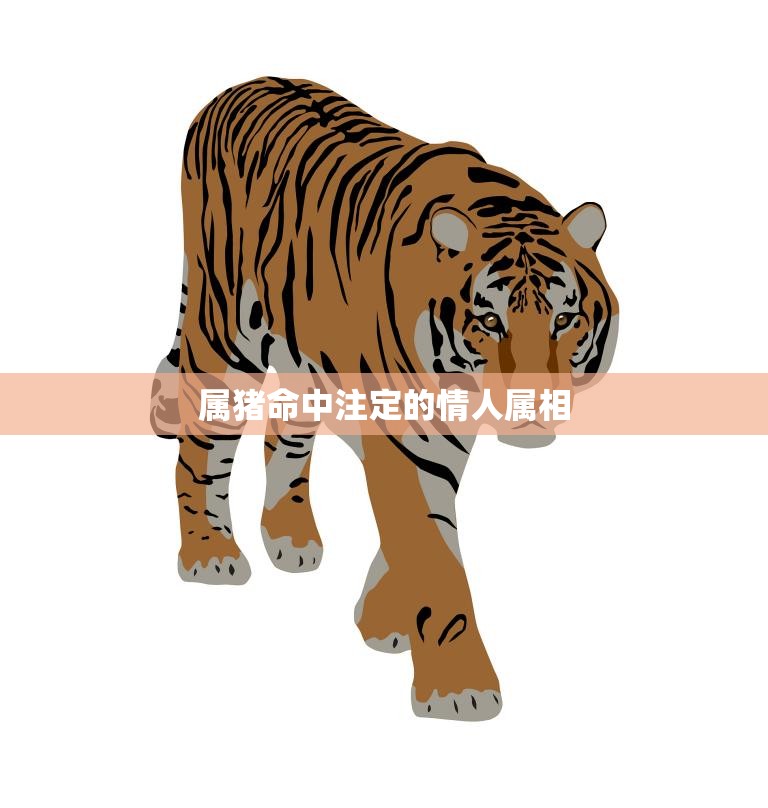 属猪命中注定的情人属相(揭秘谁是你的真命天子/女)  第3张