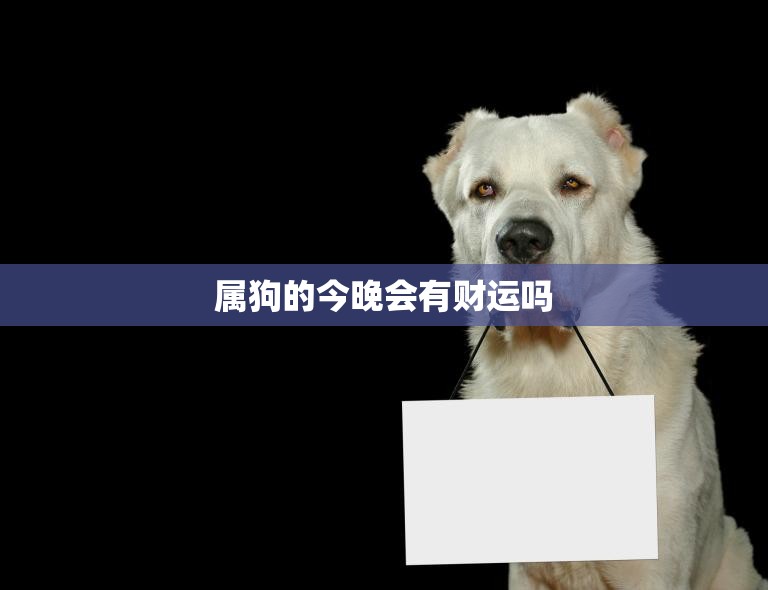 属狗的今晚会有财运吗(揭秘属狗人今晚财运运势)  第3张
