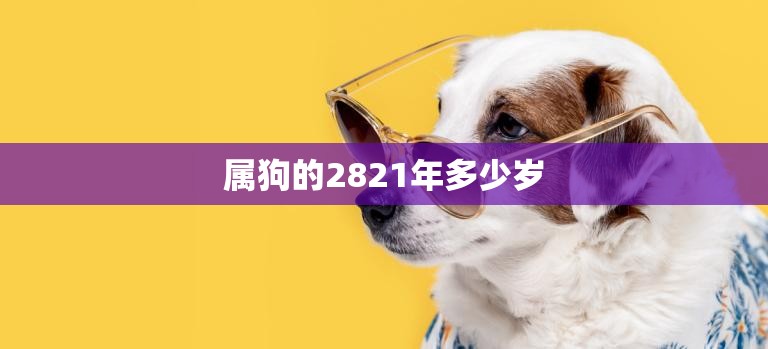 属狗的2821年多少岁(狗年人的幸福长寿之道)  第3张