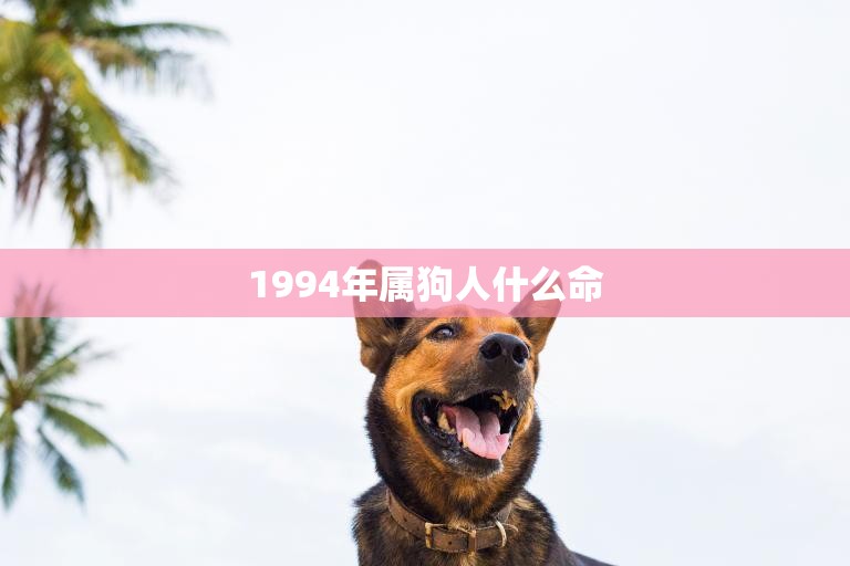 1994年属狗人什么命(属相解析及运势预测)  第3张
