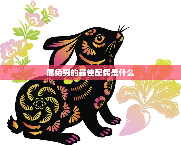 属兔男的最佳配偶是什么(如何选择最适合的伴侣)  第3张