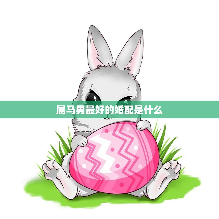 属马男最好的婚配是什么(如何选择最佳配偶)  第3张