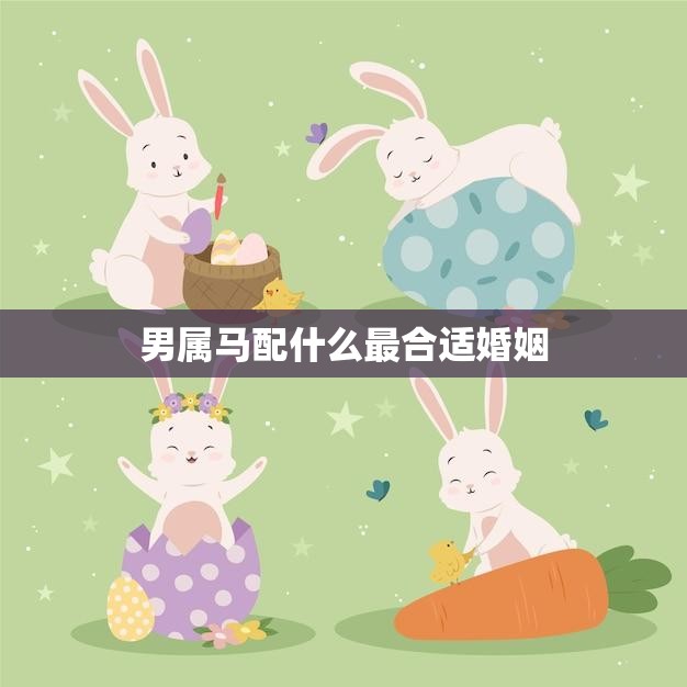 男属马配什么最合适婚姻(如何选择最佳配偶)  第3张