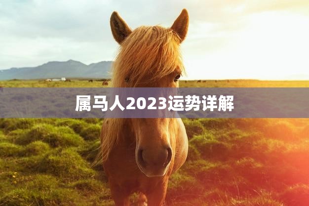 属马人2023运势详解(马上飞黄腾达)  第3张