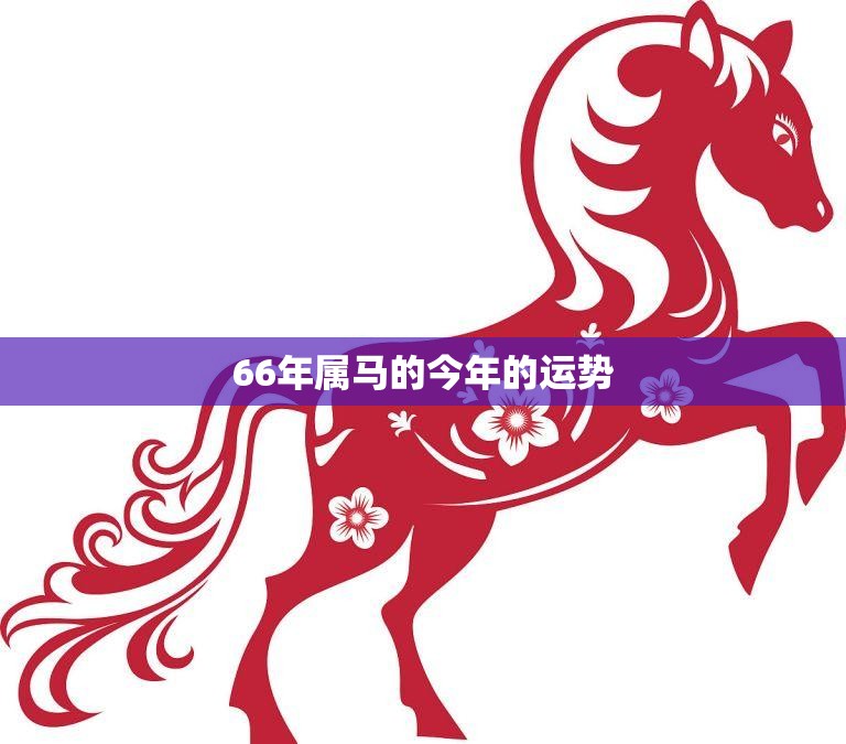 66年属马的今年的运势(马上飞黄腾达)  第3张