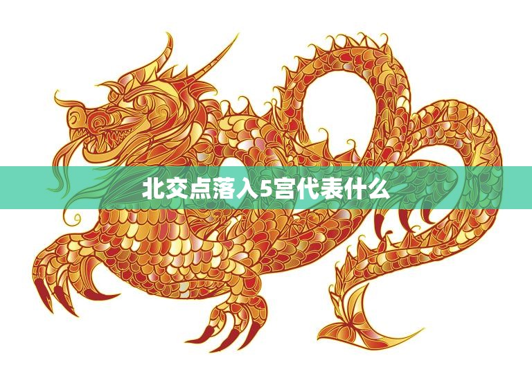 北交点落入5宫代表什么(探究宿命的指引)  第3张