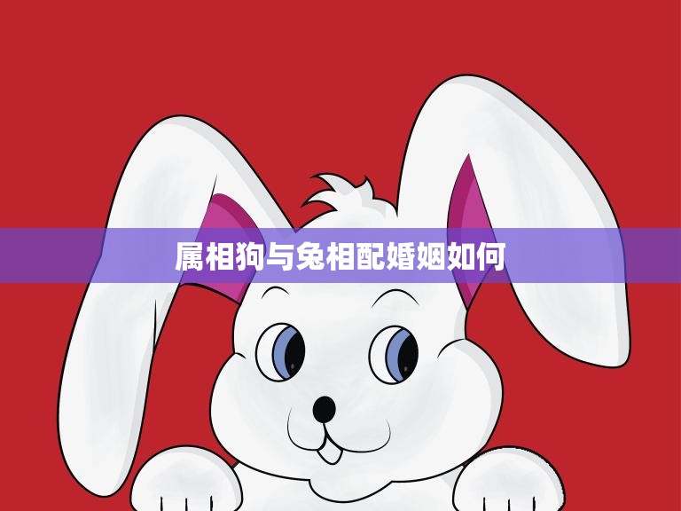 属相狗与兔相配婚姻如何(幸福美满的秘诀)  第3张