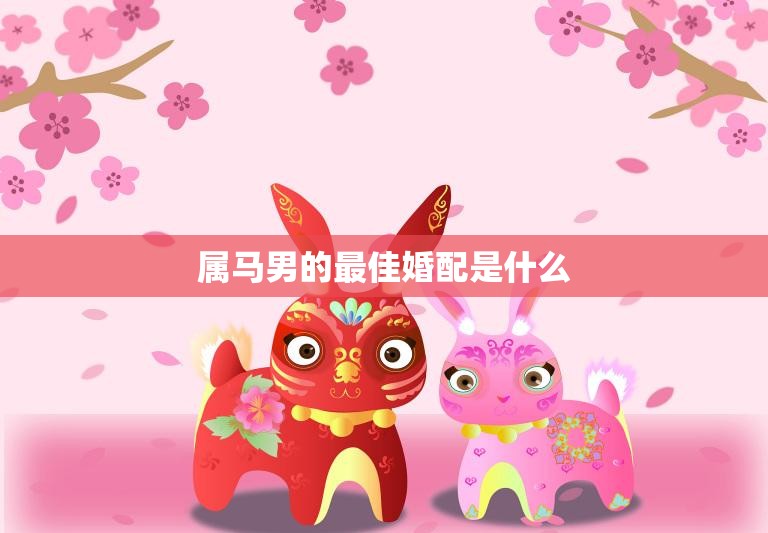 属马男的最佳婚配是什么(如何找到最合适的伴侣)  第3张