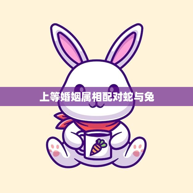 上等婚姻属相配对蛇与兔(完美匹配相互吸引的两个属相)  第3张