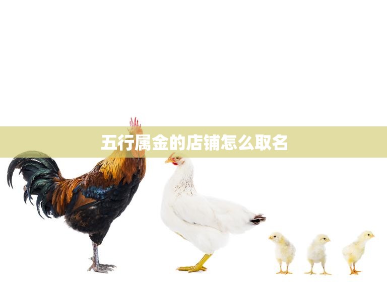五行属金的店铺怎么取名(创意灵感大揭秘)  第3张
