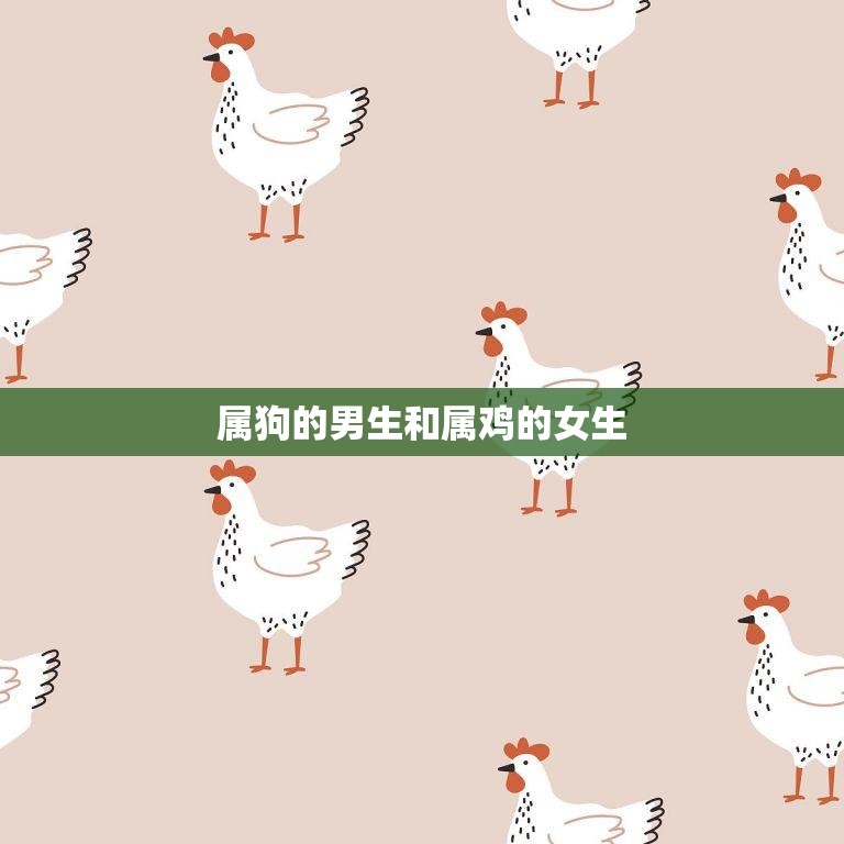 属狗的男生和属鸡的女生(命相配)  第3张