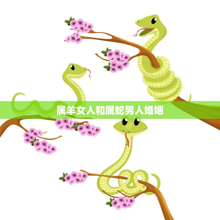 属羊女人和属蛇男人婚姻(幸福的秘诀)  第3张