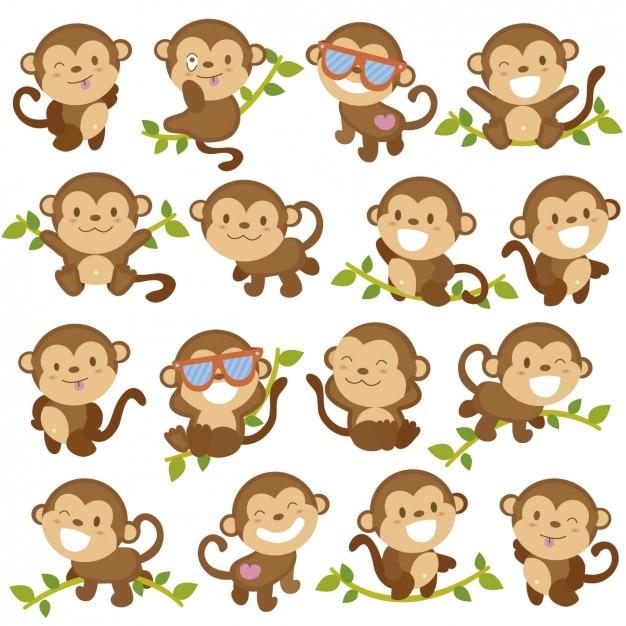 男属猴和女属猴婚姻配吗(如何看待这对猴子的婚姻)