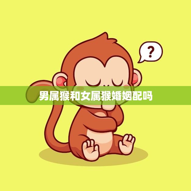 男属猴和女属猴婚姻配吗(如何看待这对猴子的婚姻)  第3张