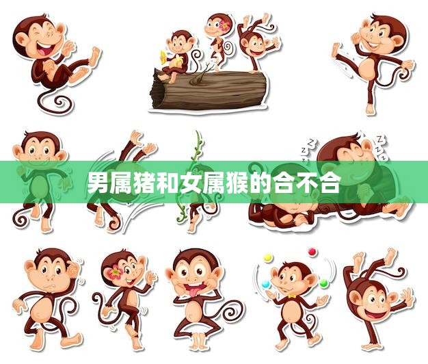 男属猪和女属猴的合不合(星座配对分析)  第3张