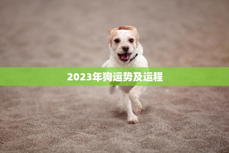 2023年狗运势及运程(狗狗们的未来如何)  第3张