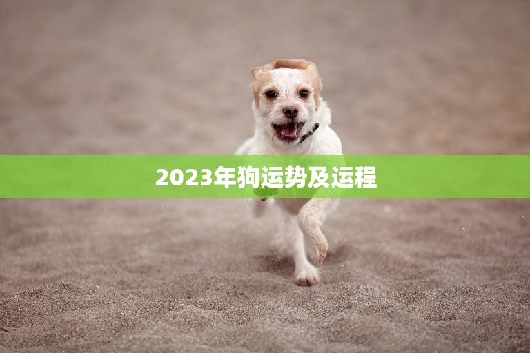 2023年狗运势及运程(狗狗们的未来如何)