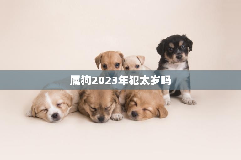 属狗2023年犯太岁吗(解析狗年犯太岁的真相)  第3张