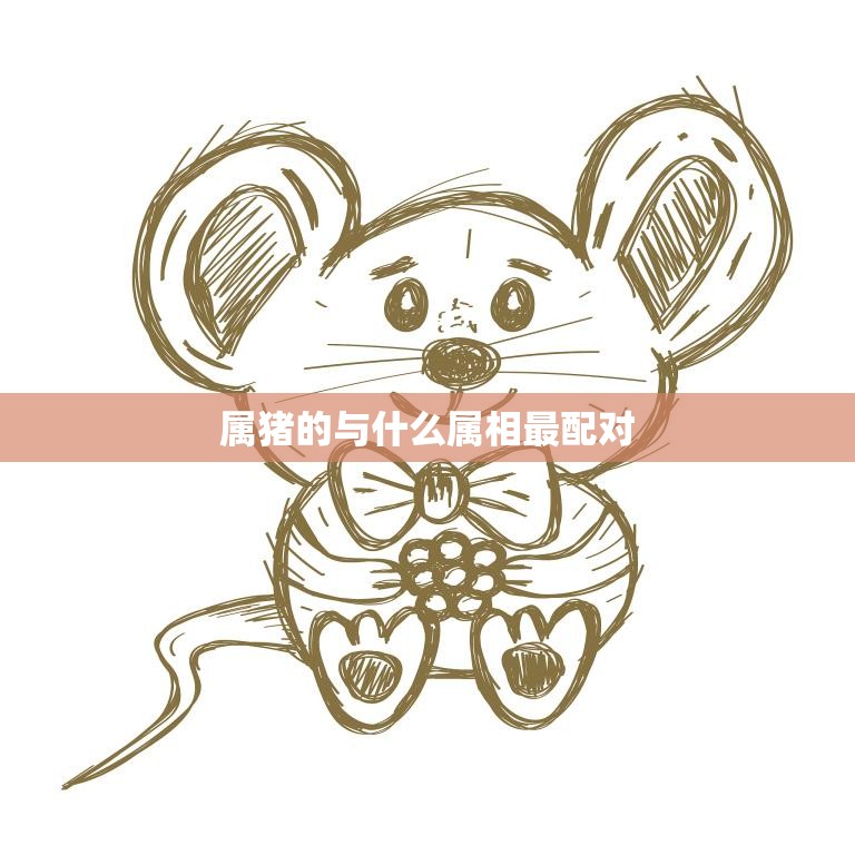 属猪的与什么属相最配对(十二生肖配对大揭秘)  第3张