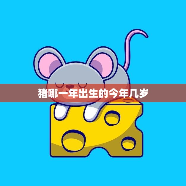 猪哪一年出生的今年几岁(揭秘猪年生肖的年龄计算方法)  第3张