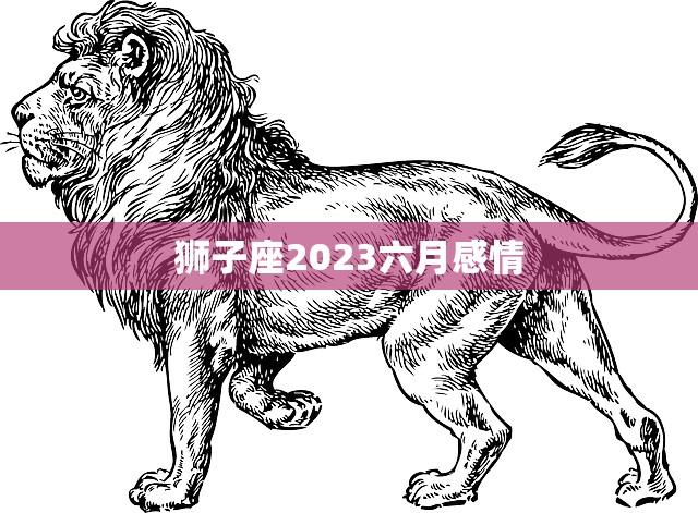 狮子座2023六月感情(爱情运势大揭秘)  第3张