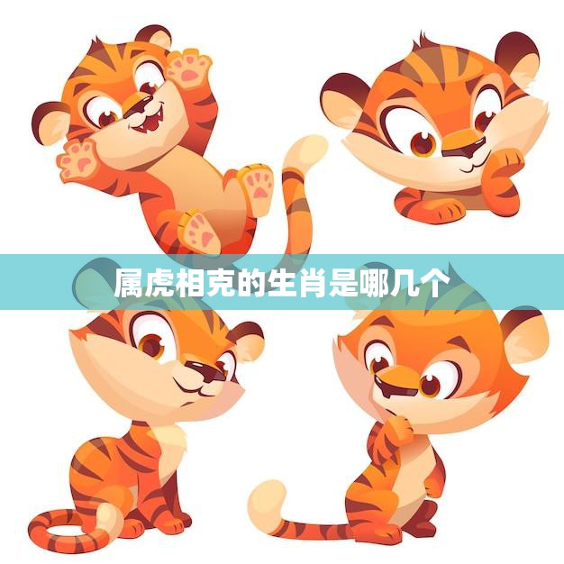 属虎相克的生肖是哪几个(了解一下哪些生肖和虎不和)  第3张