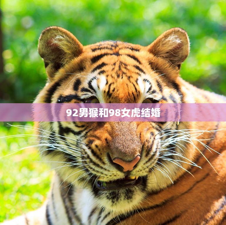 92男猴和98女虎结婚(幸福的跨越12岁的爱情)  第3张