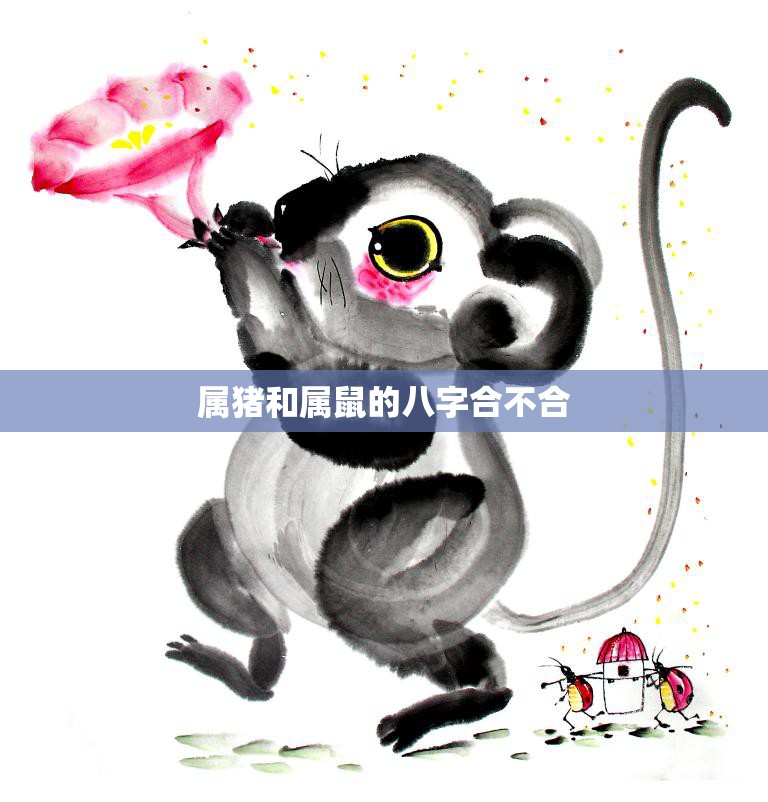 属猪和属鼠的八字合不合(如何看八字合婚)  第3张