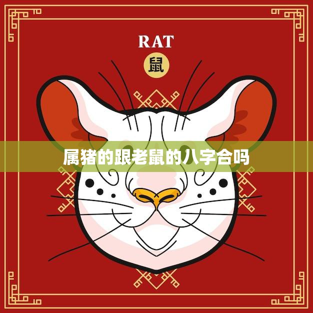 属猪的跟老鼠的八字合吗(如何看待这种组合)  第3张