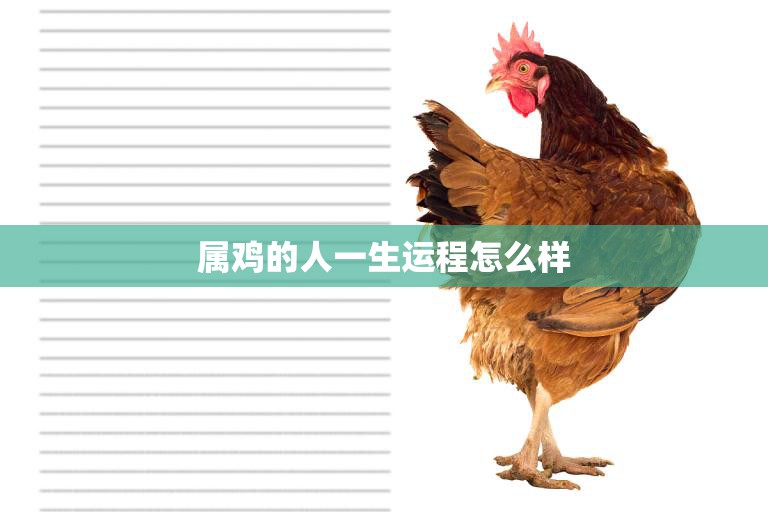 属鸡的人一生运程怎么样(解析属鸡人的命运轨迹)  第3张