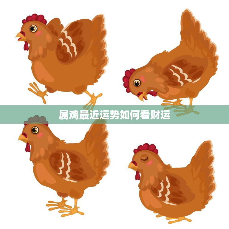 属鸡最近运势如何看财运(财运旺盛财源滚滚来)  第3张