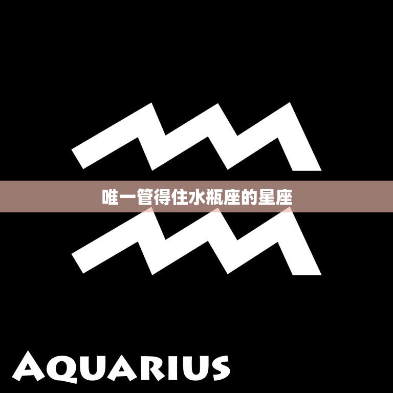 唯一管得住水瓶座的星座(揭秘天蝎座)  第3张