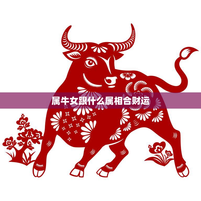 属牛女跟什么属相合财运(十二生肖中最佳财运搭档是谁)  第3张