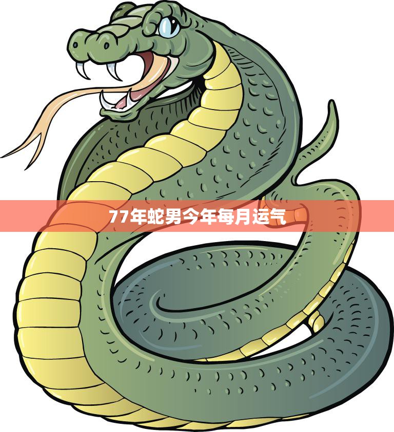 77年蛇男今年每月运气(详解吉凶参半需谨慎抉择)  第3张